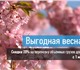 Скачать изображение Транспорт, грузоперевозки Выгодная весна с CAR-GO! 4032804 в Екатеринбурге Фото в Авторынок Транспорт, грузоперевозки Уважаемые клиенты и партнёры!Для Вас подготовлена в Екатеринбурге 240