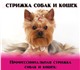 Уникальное фото Стрижка собак Стрижка собак и кошек в Нижнем Тагиле 169140 в Москве Foto в Домашние животные Стрижка собак Уважаемые владельцы! Хочу предложить Вам в Москве 800