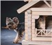 Изображение в Домашние животные Товары для животных ОПИСАНИЕ:Домик для собак маленьких пород в Новокузнецке 16 900
