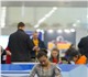 Новое foto Услуги для животных Услуги хендлера и грумера 4003287 в Москве Изображение в Домашние животные Услуги для животных Предлагаю услуги профессионально хендлера. в Москве 1 500